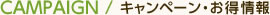 キャンペーン・お得情報